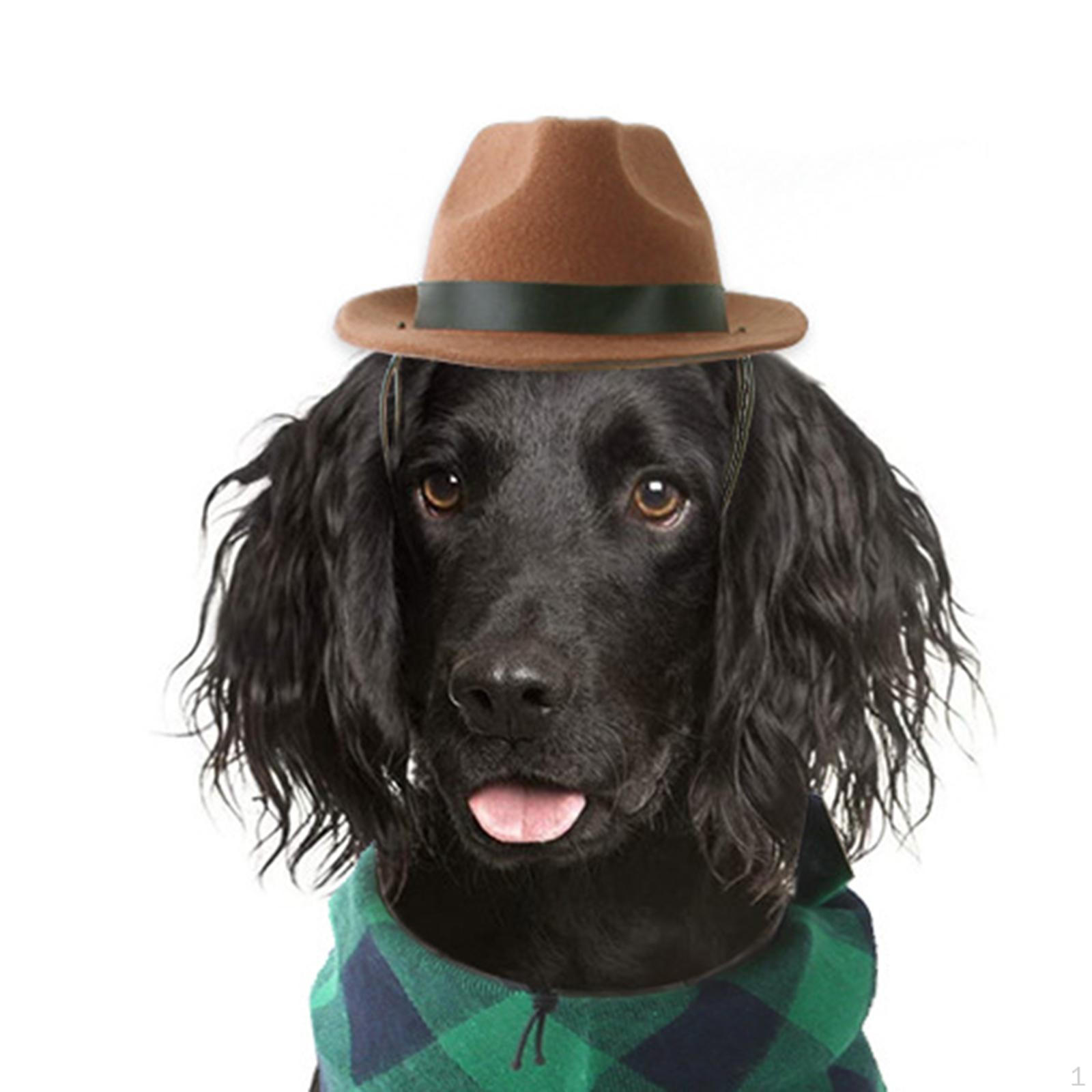 Adjustable Pet Cowboy Hat for Dogs and Cats - Headwear Corgi Chihuahua