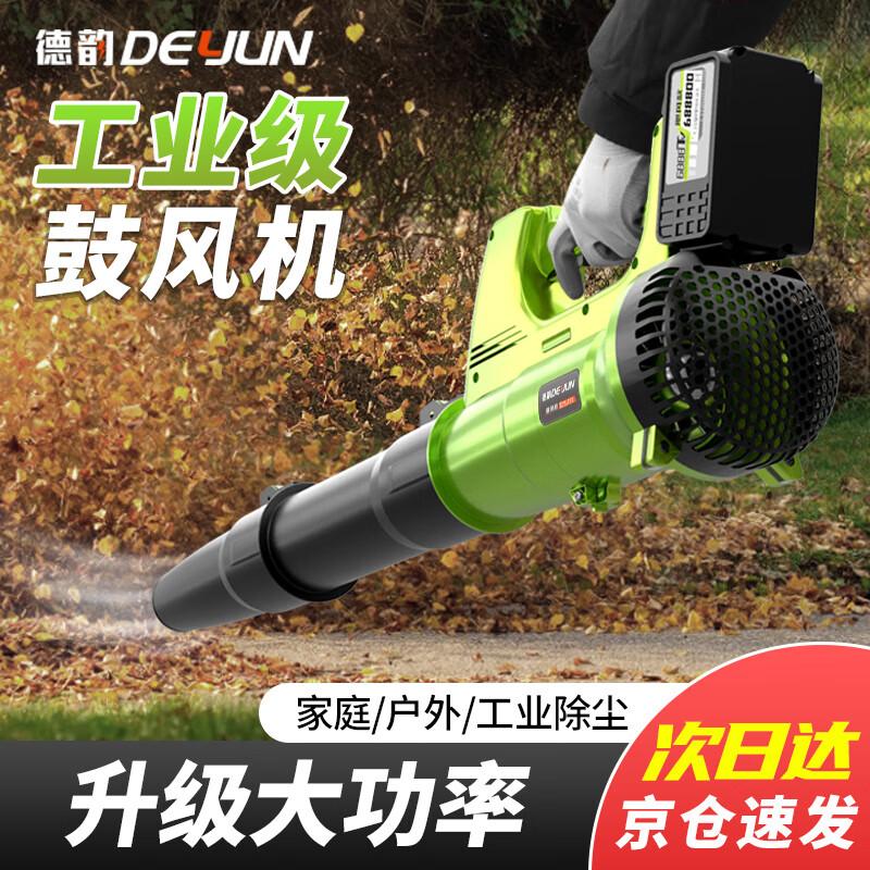 Deyun Cordless High-Power Industrial Blower CN plug (adapter included)