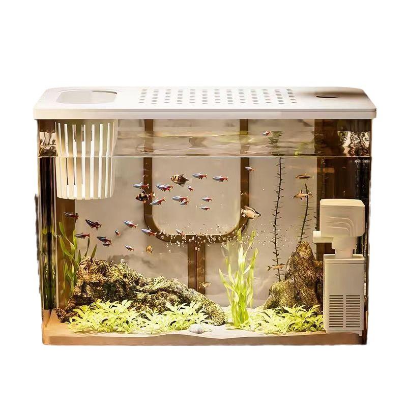 Betta Fish Viewing Tank: Compact Ecological Aquarium for Small Goldfish—Stylish Plastic Design for Home or Office Display