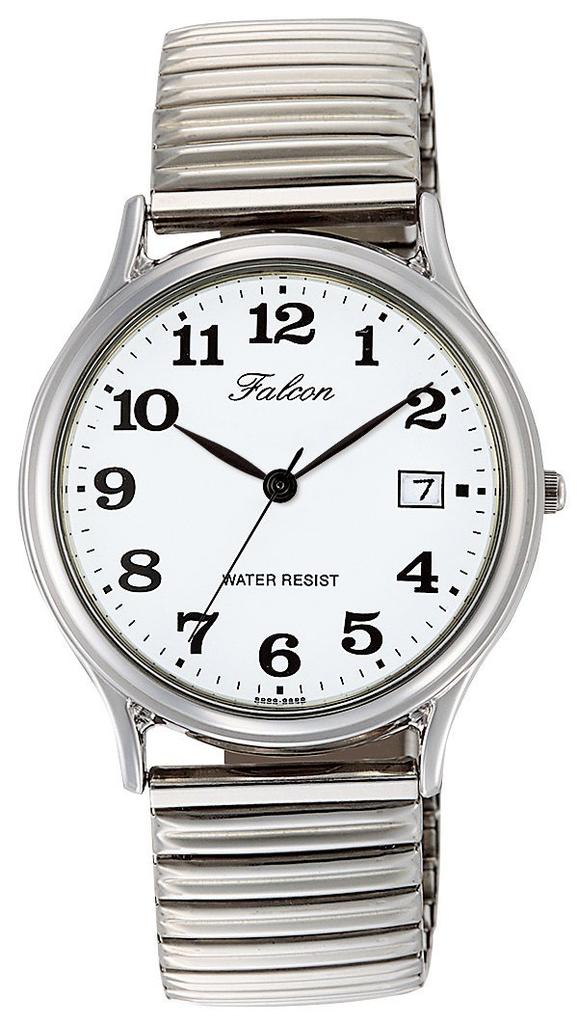 Cue Cue Falcon Silver Watch & Men's D014-204