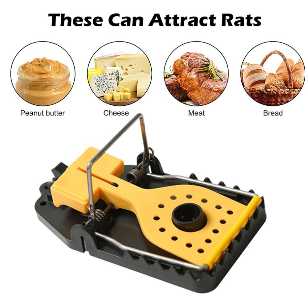 Piège à souris Snap Pest Controller, performance éprouvée, en bois FSC issu de sources durables, construction sûre et robuste pour une
