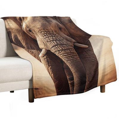 Ropa de cama – Edredones