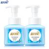 Blue Moon Foaming Hand Soap