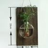 Yousheng Glass Wall Planter Hanging Vase with Wooden Board Oblate Flower Vase for Hydroponics Plants Flowers Home Office Decor