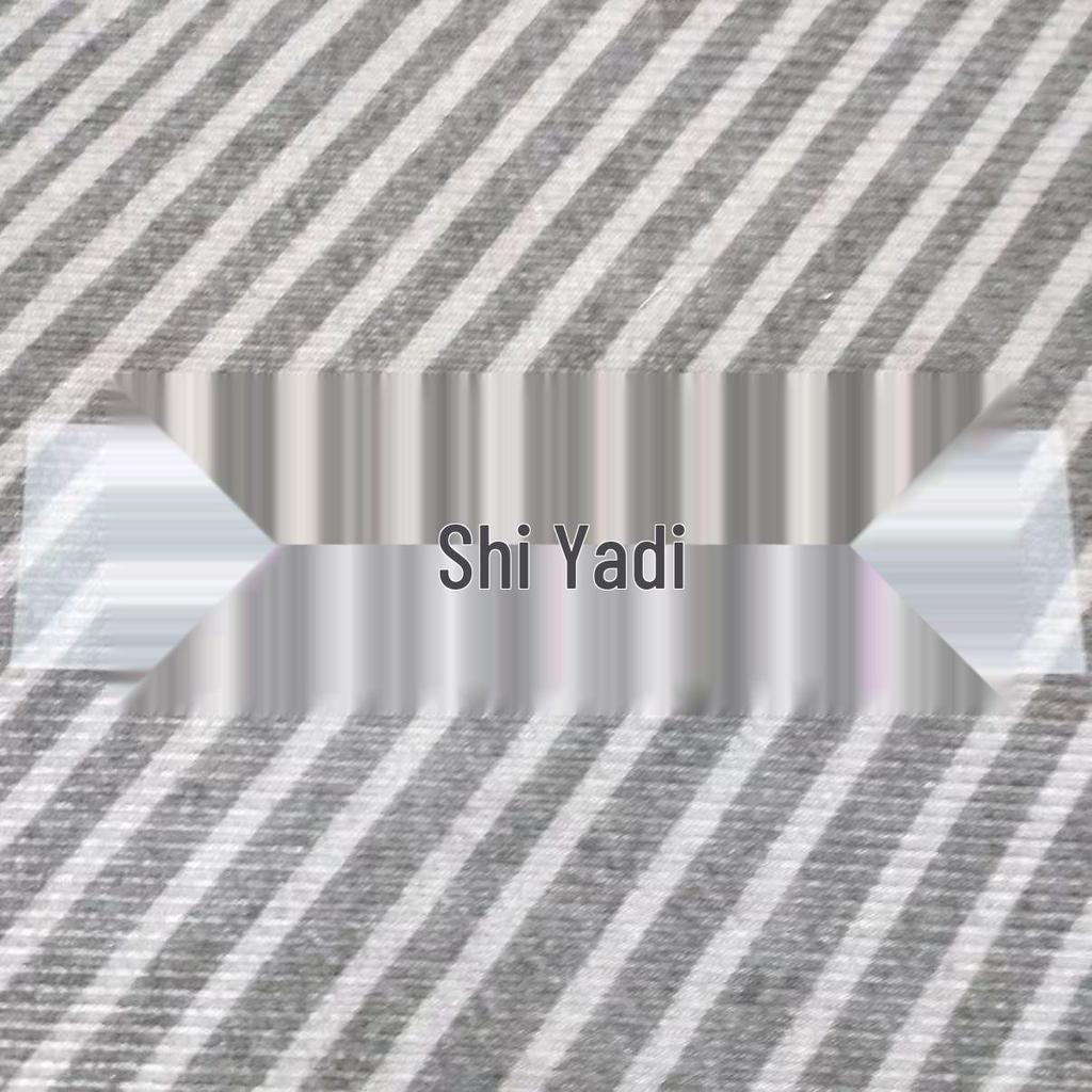 Rear Car Sticker for BYD Models: Han, Qin, Seal, Song, Tang, DM-p, Yuan Plus, Destroyer DMI