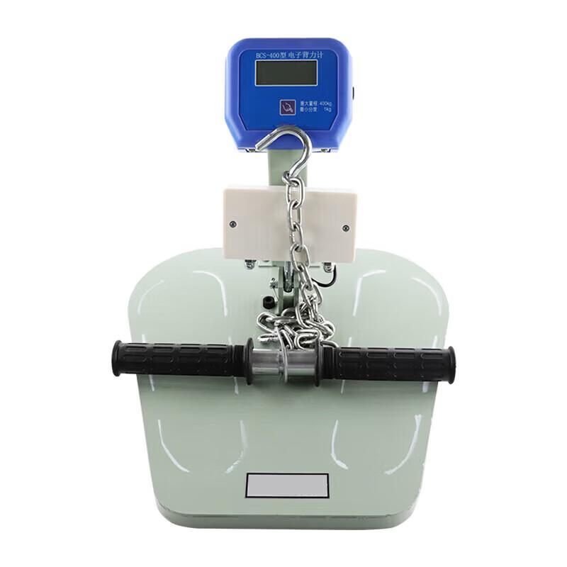 Ruilv Digital Back Strength Tester