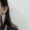 High-End Atmospheric Metal Long Fringed Earrings For Women, Light Luxury Design, Simple Temperament, Versatile Earrings For Women