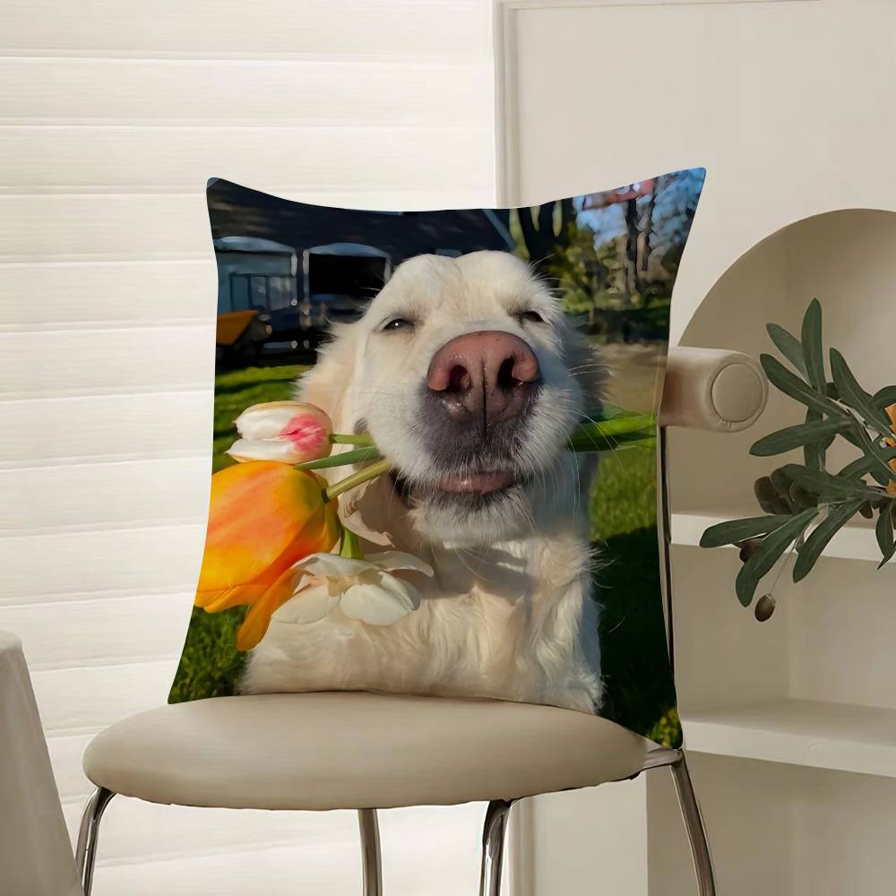 Happy Cute Puppy Smiling Sunshine Pillow Case Comfort Sofa Bed Silky Elegant Invisible Zipper Decorative Cushion Cover