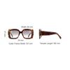 Celine Gradient Lens Acetate Square Sunglasses Women Sunglasses Tortoise CL40263I5453B