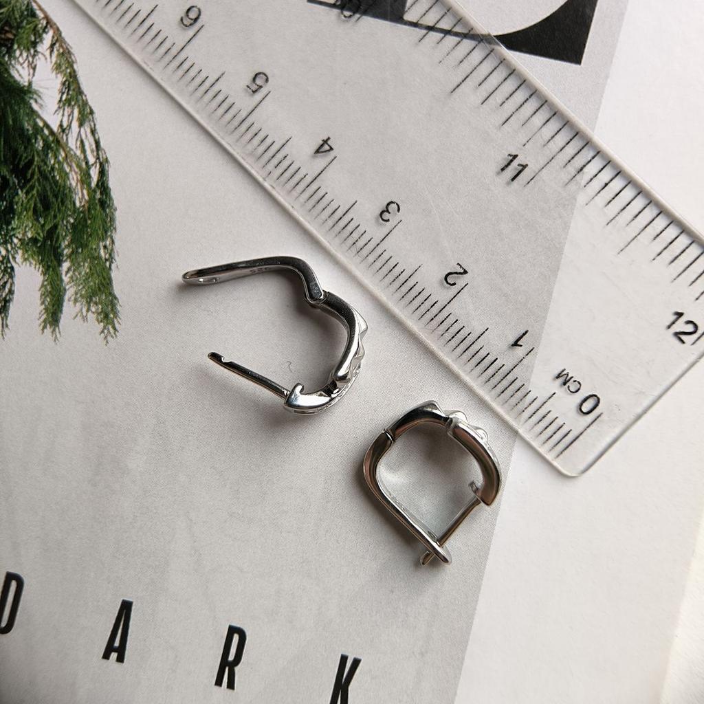 Silver Earrings with Cubic Zirkonia (2184249)