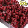 Christmas Mini Artificial Holly Berries Frosted Berry Stamen Double Head Fake Berries for DIY Wreath Xmas Party Decor Supplies