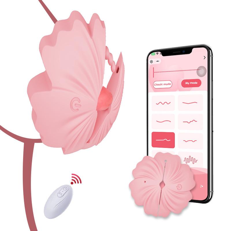 Nipple Vibrator Toy Nipple Clamps BDSM 9 Vibration Modes, Nipple G-Spot Stimulation, Adult Sex Toy Suitable for Women and Couples