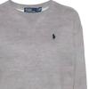 Polo Ralph Lauren Logo Print Crew Neck Pullover Long Sleeve Sweatshirt Women Sweatshirt Gray 211943006-004