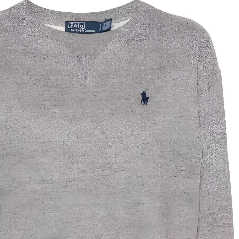Polo Ralph Lauren Logo Print Crew Neck Pullover Long Sleeve Sweatshirt Women Sweatshirt Gray 211943006-004