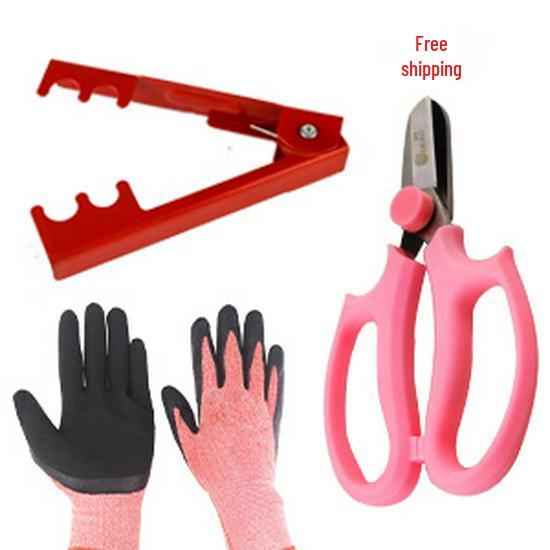Rose Thorn Remover Kit: Floral Tools & Scissors for Safe Rose Handling