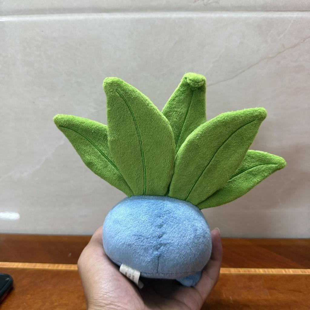 13Cm Walking Grass Sounding Plush Toy Doll Squeezing Toy Pet Stuffed Plush Starfish Body Printed Keychain Send Friends Gift Xams