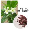 Stick balmmoisturizingKorean cosmeticsmulti balmdrynesswhiteningwrinklesfirmnessRisley