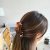 Flower Design Transparent Hair Clip Hairpin