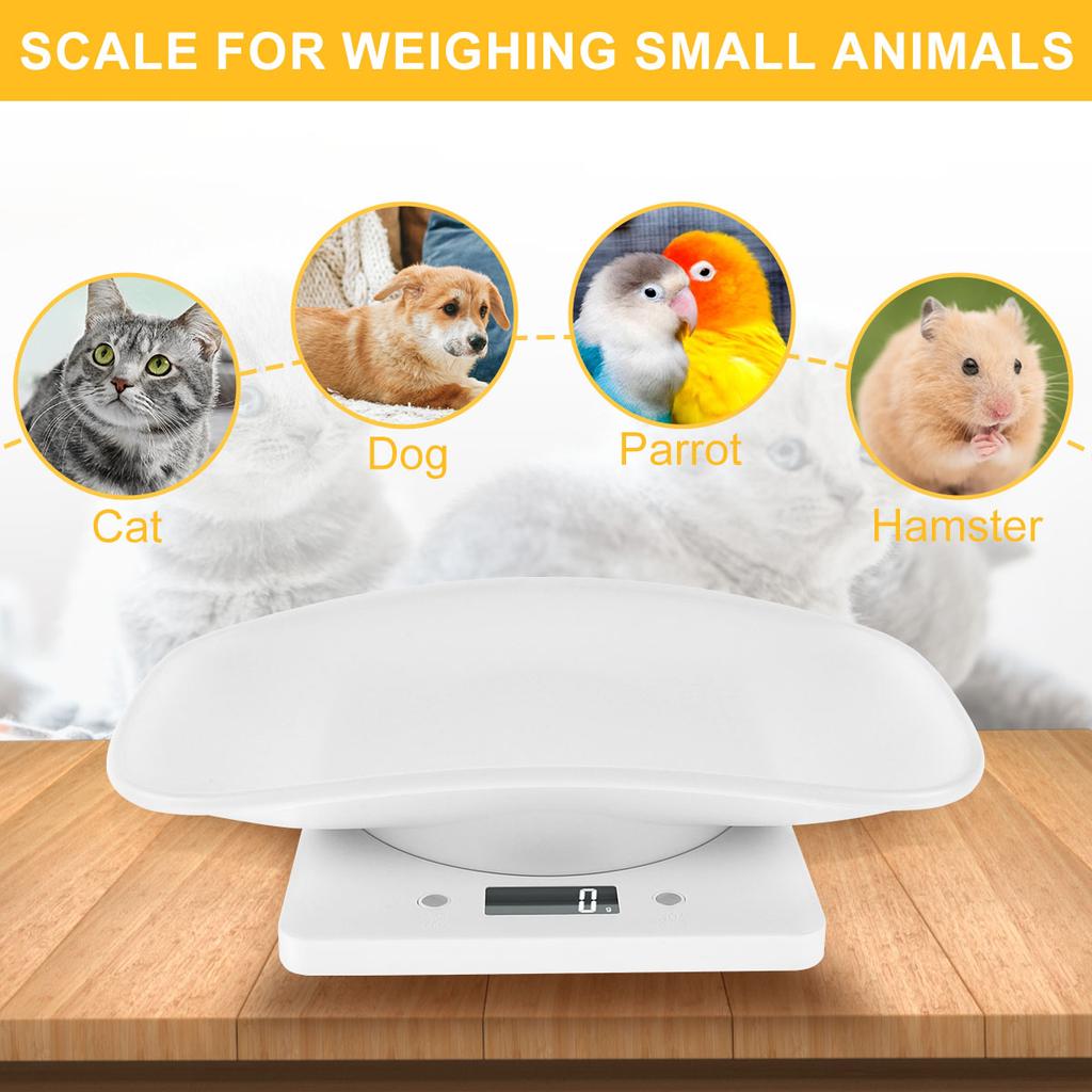 High-precision Digital Scale 10kg/1g Electronic Platform Scale Parcel Small Pet Express Weighing Scale Portable Kitchen Scales