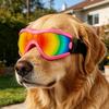 Hundebrille Winddicht Haustier-Sicherheitsvisier Haustier-Sonnenbrille Für Strand Outdoor Wandern Sommer Reiten Fahren Mittlere oder Große Größe