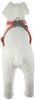 Doggyman Footbone 8 Harness, Orange, for Medium Dogs, Size 20