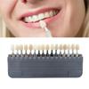 Teeth Shade Guide Classical Dentistry Equipment Teeth Whiten Porcelain 16/29 Colors Tooth Model Colorimetric Plate