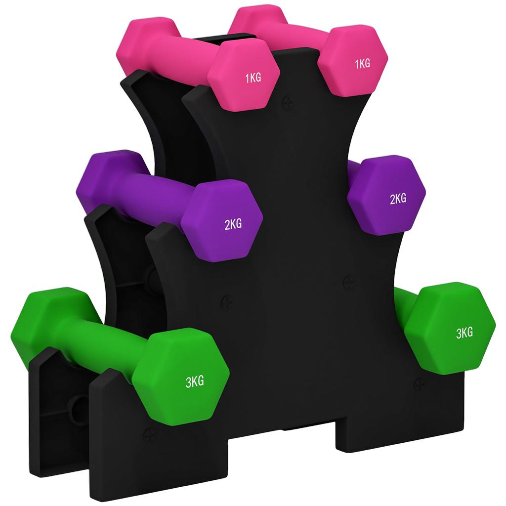 2 X 1kg, 2 X 2kg, 2 X 3kg Dumbbells Set with Dumbbell Rack, Hand Weights for Home Gym Training