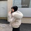 Winter new hooded big fur collar short cotton clothes Korean version student cotton clothes women's jacket short