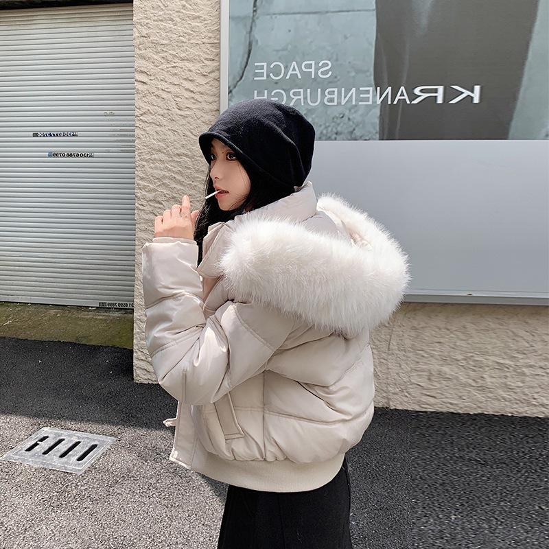 Winter new hooded big fur collar short cotton clothes Korean version student cotton clothes women's jacket short