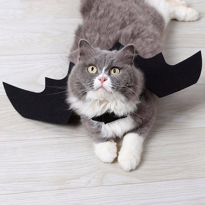 Costume Da Ape Per Cani Con Cappuccio, Felpa Cosplay Halloween E Natale, Morbido E Resistente, Taglie XS A XL, Perfetto Per Feste E Sfilate
