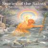 Stories of the Saints by Siegwart Knijpenga Paperback Book 9780863159299