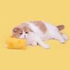 Pet Toy Creative Shape Wear Resistant Attractive Puppy Kitty Toy Cheese Modeling Chew Toy for Home