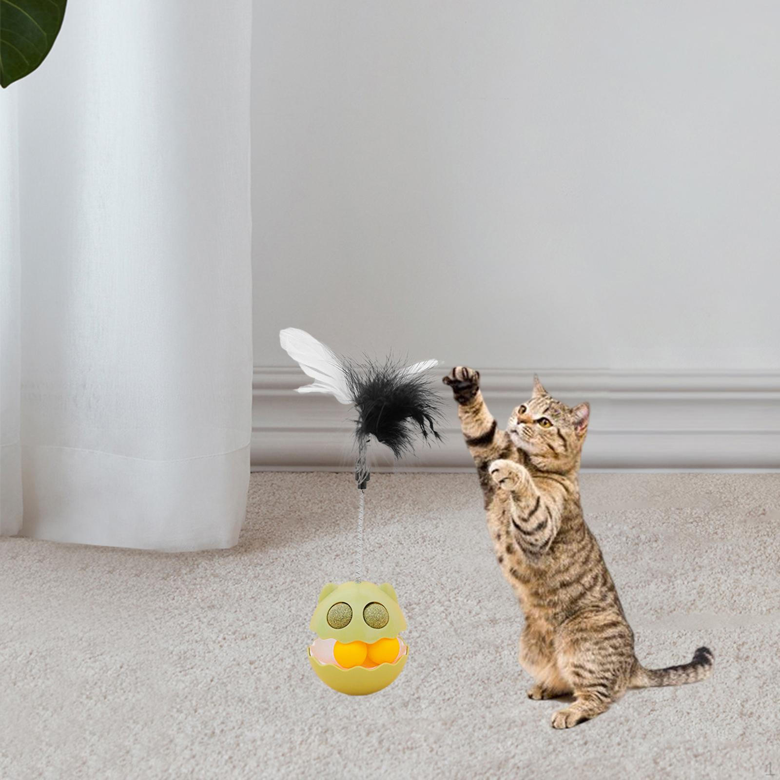 

Cat Tumbler Toy Pet Exercise Bike Catnip Interactive for Kitten Puppy Increases зелений