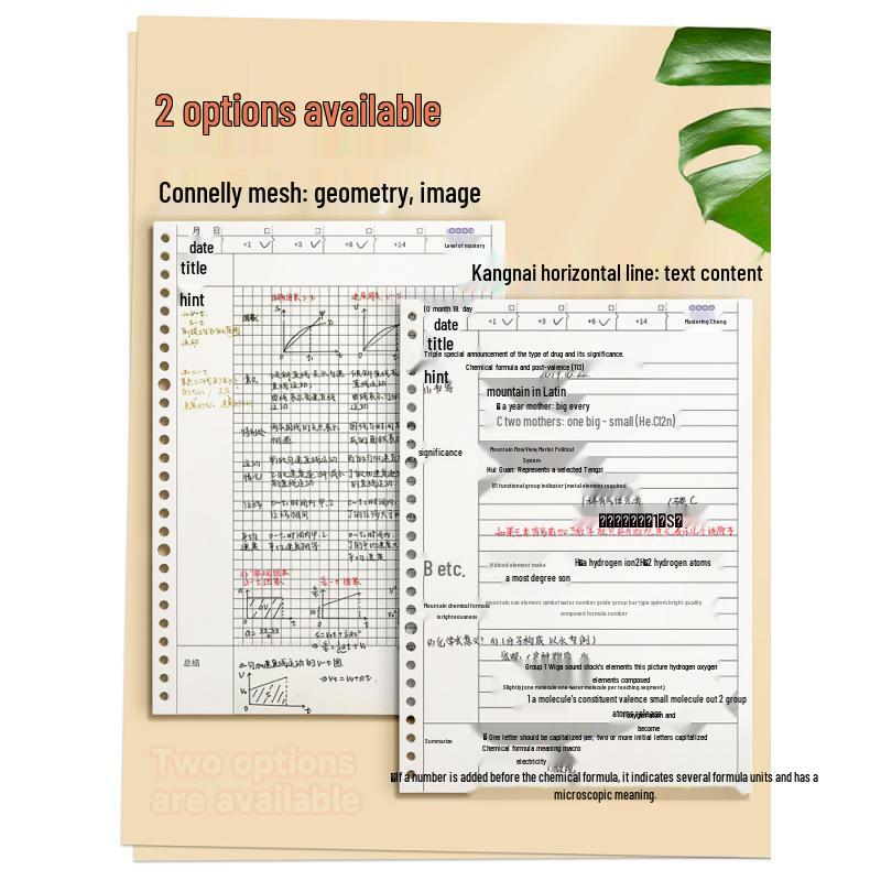 Loose-leaf Cornell Notebook: High-Efficiency Memory Method, B5/A4 Grid, Ideal for College, Postgraduate, Law, and Civil Service Exams