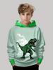 Boys' Hoodies Dinosaur 3d Print Autumn Long Sleeve Tops Pullover Baby Boy Clothes Sweatshirt Outdoor Causal Children's Clothing