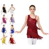 Kids Girls Tassel Sequin Sleeveless Dance Dress Leotards Ballroom Latin Samba Dancing Outfits