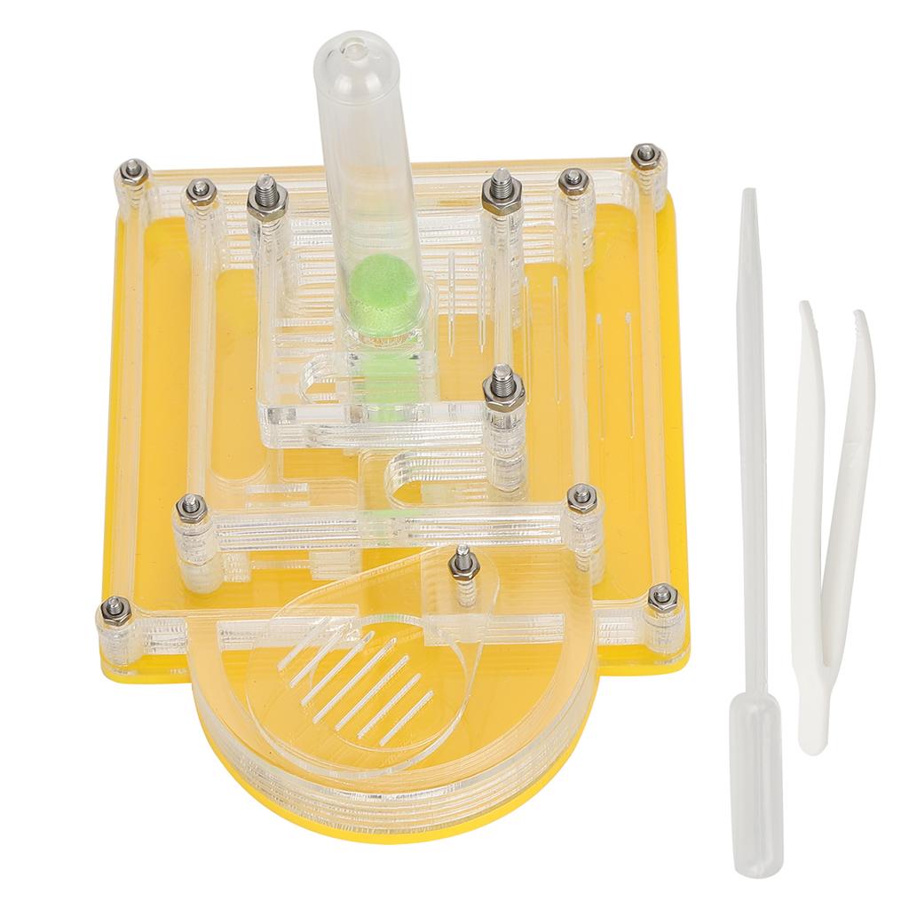 Acryl Ameisen Zuchtbox Transparent Beobachten Fütterungsbehälter Ameisenhaus Spielzeug für Kinder