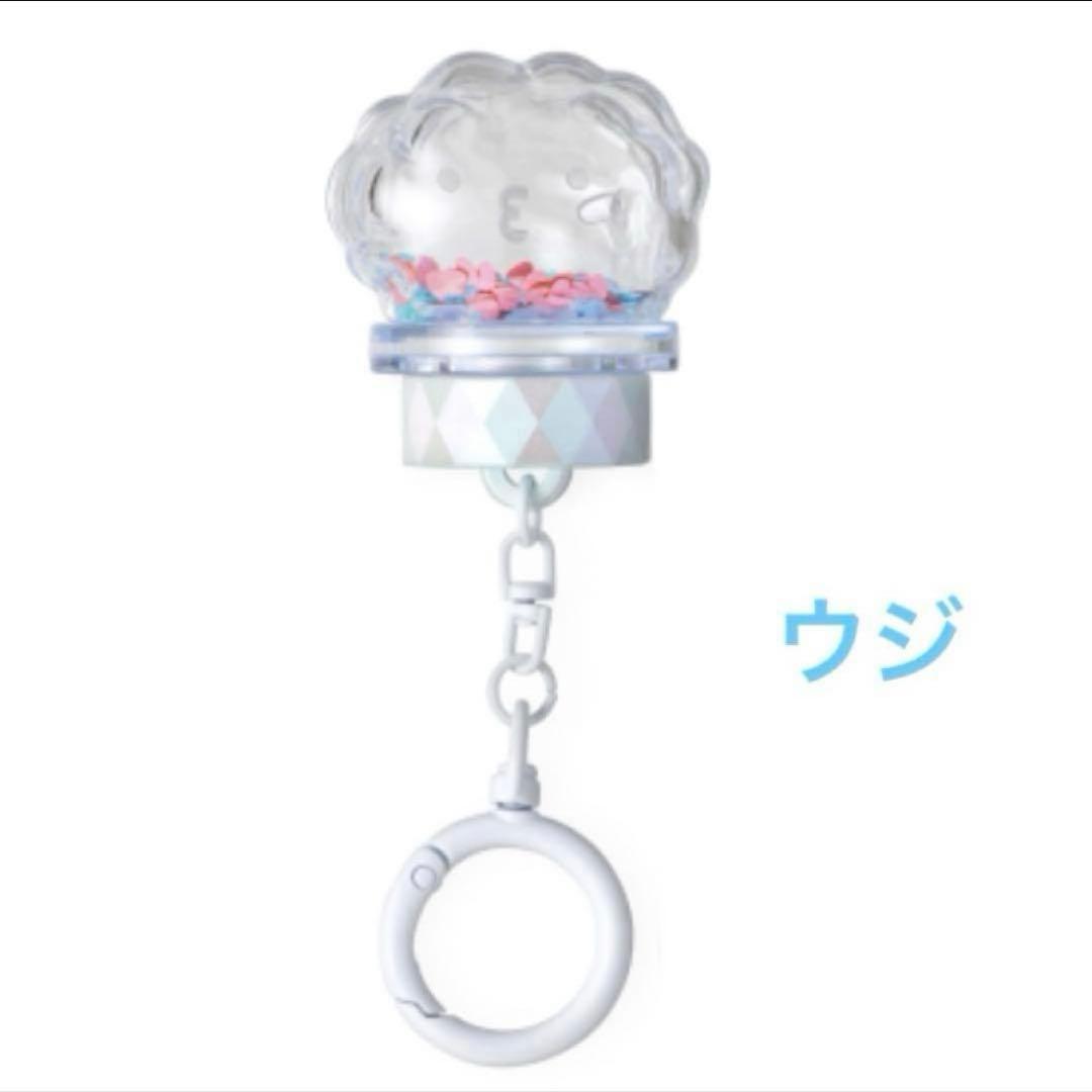 

[USED] Seventeen Waltz Penlight Parts Key Ring Woozi