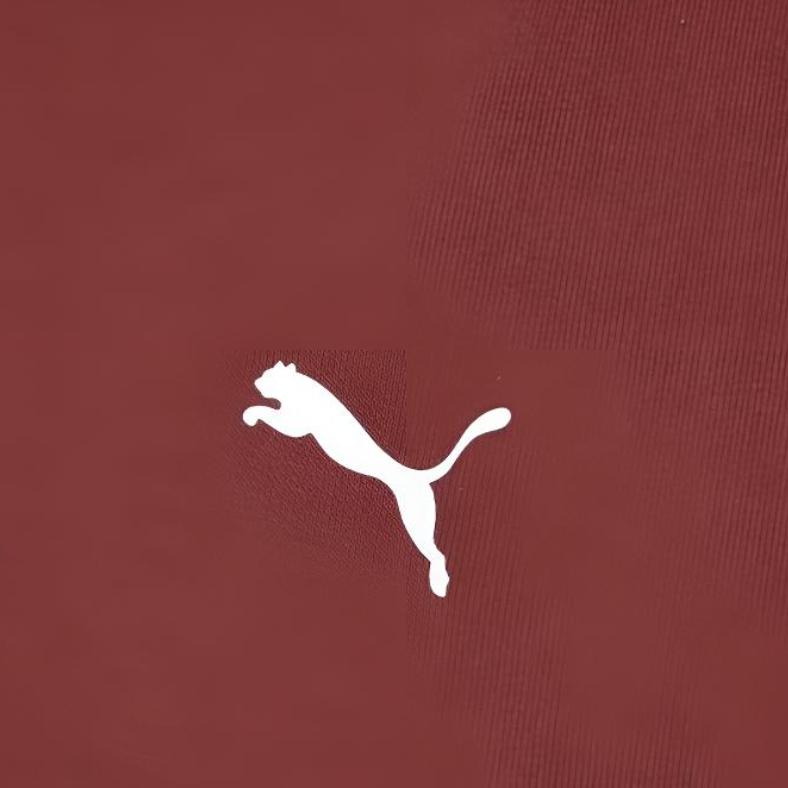 Puma Race Ahead Hoodie Terry Lunar New Year Loose Fit Knit Sweatshirt Unisex hoodies 636088-28