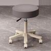 Beauty Salon Swivel Stool: Hairdresser, Nail Technician, Makeup Artist, Barber Wheeled Chair