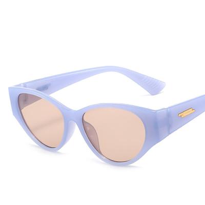 1 Pcs Women Irregular Vintage Sunglasses Brand Designer Retro Points Sun Glasses Female Lady Eyeglass Cat Eye Driver Eyeglasses