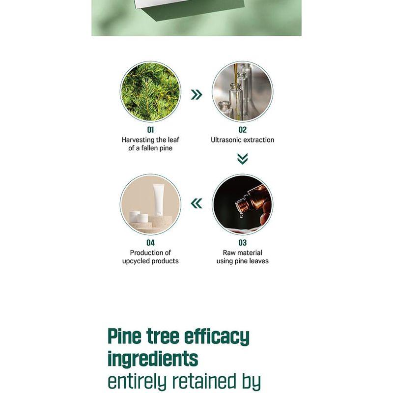 ROUND LAB - Pine Calming Cica Mask Set