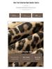 Women's High Waist Leopard Print Woolen Bodycon Skirt - Autumn/Winter 2026 Collection
