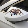 Styling Lovely Cool Spider 3D Cartoon Cartoon Cartoon Creative Personality Decoration Obtisky
