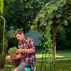 Garden Climbing Vines Flowers Stands Trellis Plant Support Climbing Plants Lattice Rose Plant Balcony Climbing Bracket For Plant