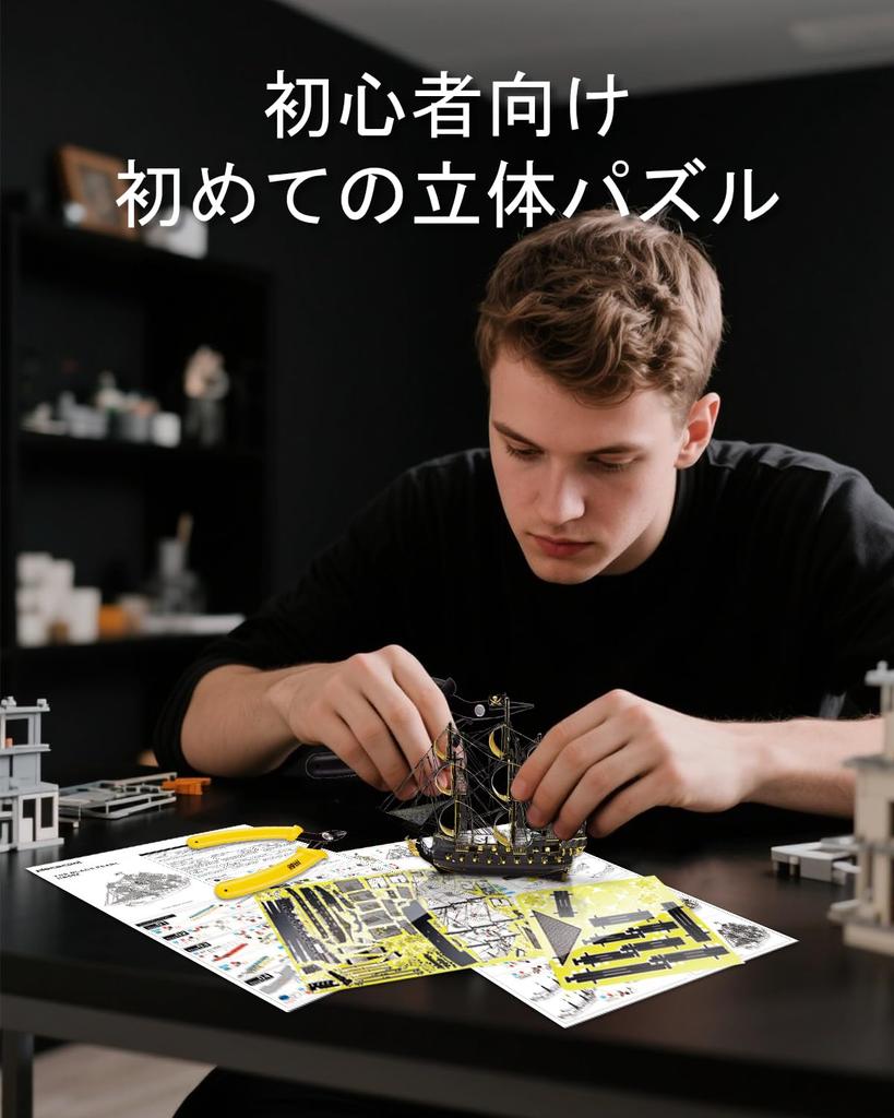 Piececool 3D Puzzle, Metall, Kühlschrankmagnet-Serie, Montage erforderlich, Kein Klebstoff erforderlich, Schwierigkeitsgrad 1, Für Anfänger und Erwachsene (Schwarz
