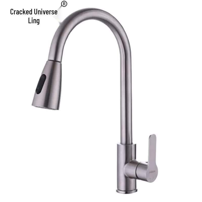 Liyu Ling 304 Stainless Steel Pull-Out Kitchen Faucet