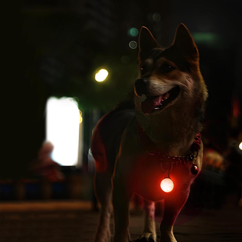 LED Dog Collar Light, Waterproof Night Safety Light for Small Medium Large Dogs, for Camping, Hiking & Night Walking