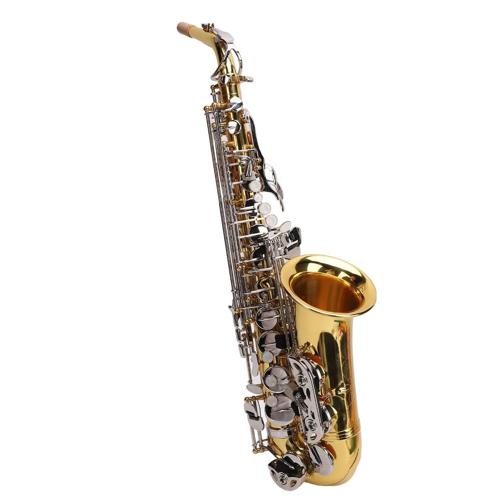 Eb Alto Saxophone Set Brass Material Sax Woodwind Instrument for Professional Player and Beginner