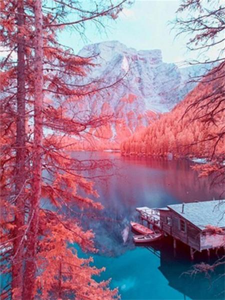 Full Square Round Diamond Painting Kit Cherry Blossoms Tree Diy Embroidery Mosaic Building Landscape Home Decor